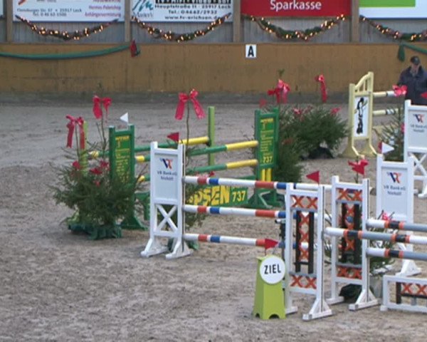 Reitturnier Leck 2015