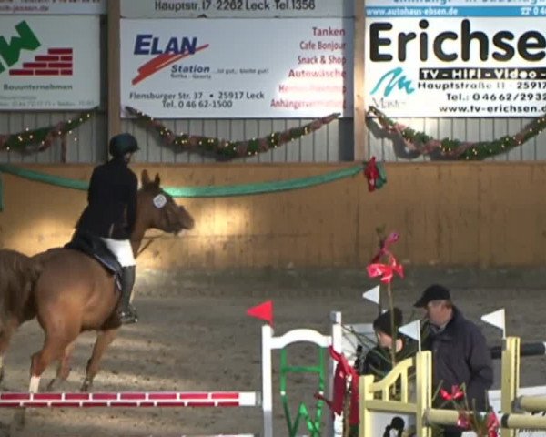 Reitturnier Leck 2015