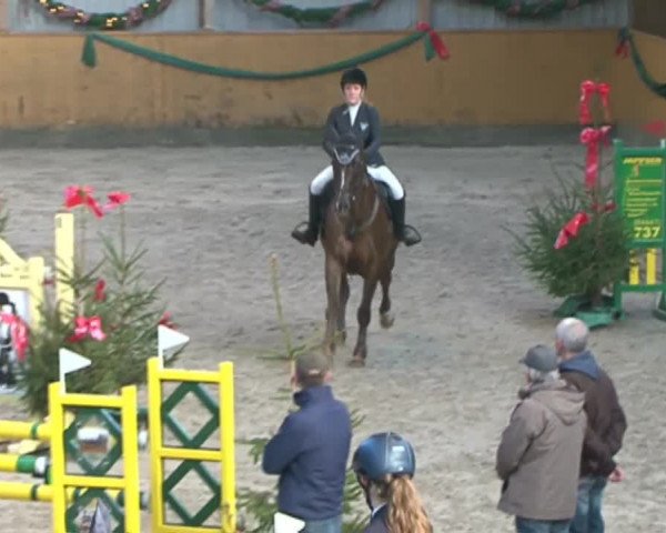 Reitturnier Leck 2015