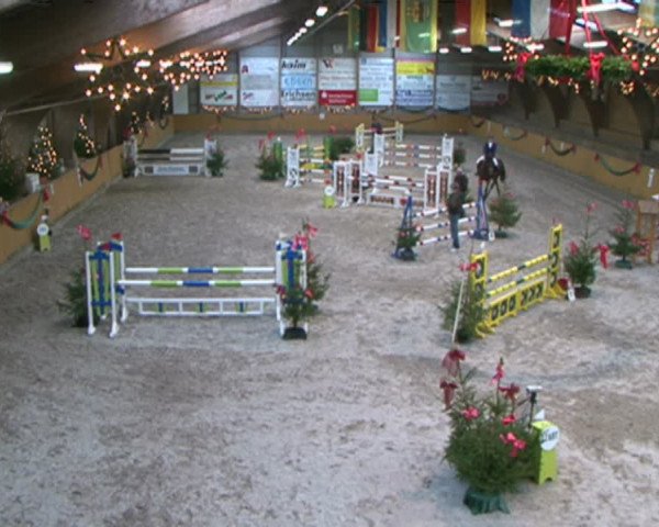 Reitturnier Leck 2015