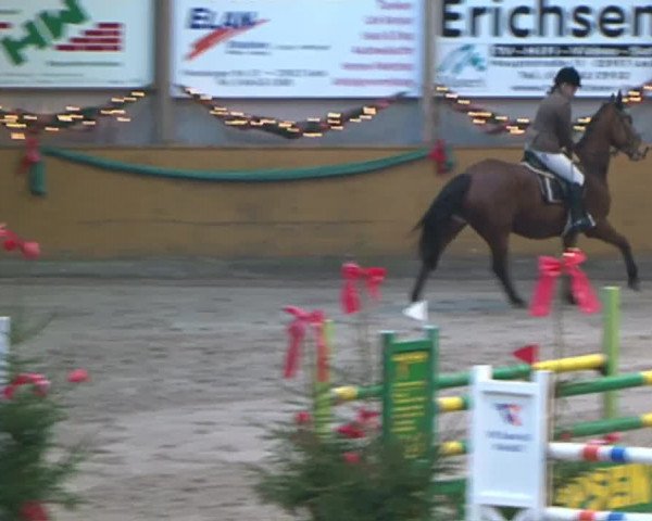 Reitturnier Leck 2015