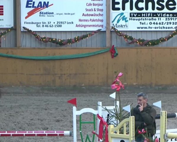 Reitturnier Leck 2015