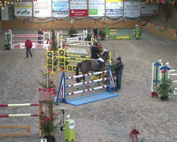 Reitturnier Leck 2015