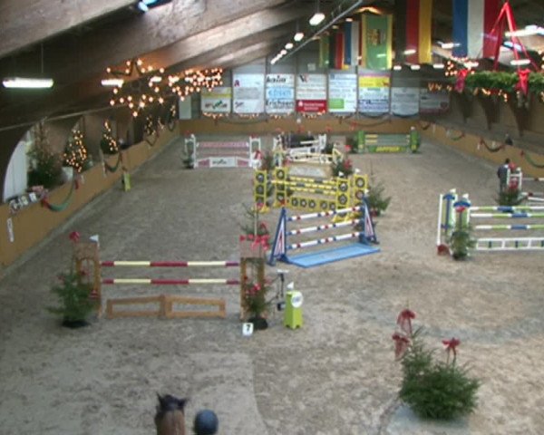 Reitturnier Leck 2015