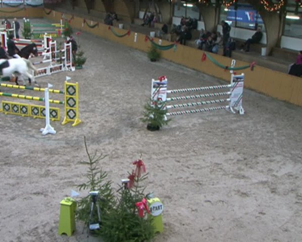 Reitturnier Leck 2015