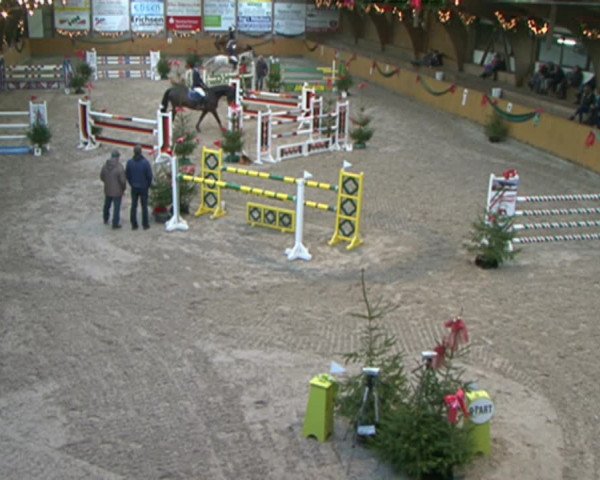 Reitturnier Leck 2015