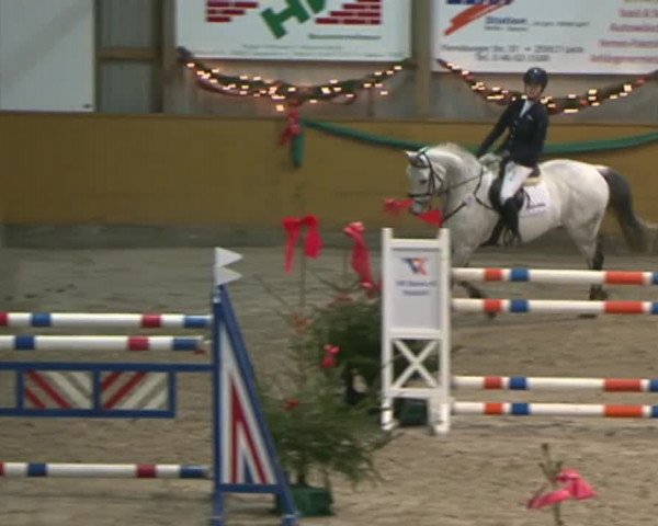 Reitturnier Leck 2015