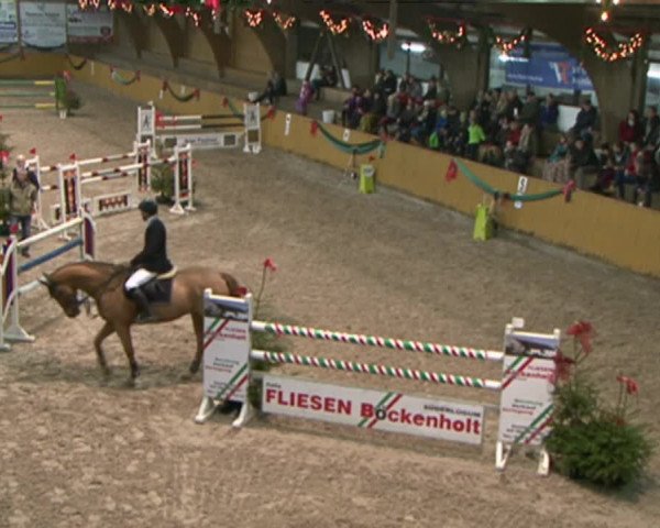 Reitturnier Leck 2015