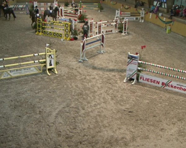 Reitturnier Leck 2015