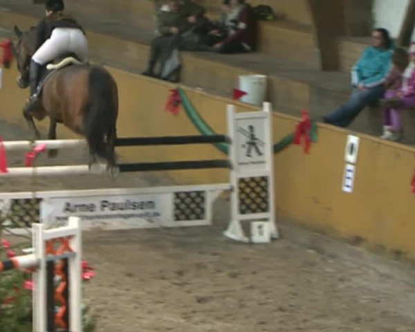Reitturnier Leck 2015