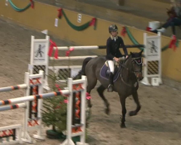 Reitturnier Leck 2015