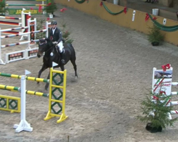 Reitturnier Leck 2015