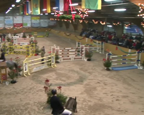 Reitturnier Leck 2015