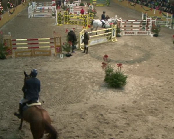 Reitturnier Leck 2015
