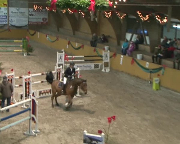 Reitturnier Leck 2015