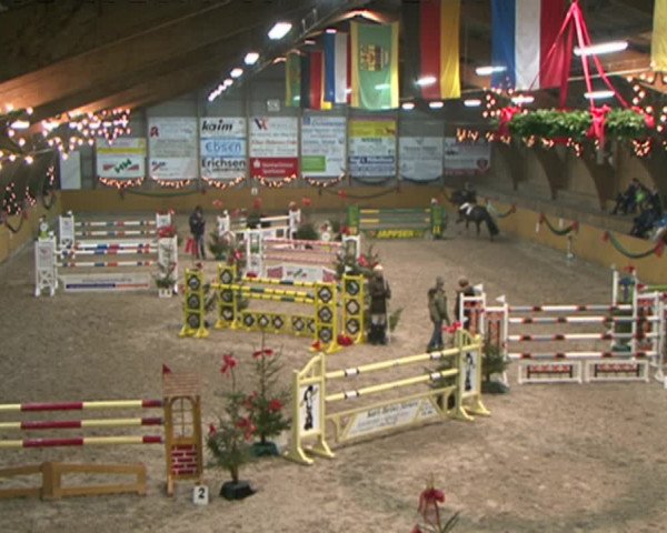 Reitturnier Leck 2015
