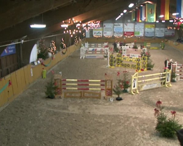 Reitturnier Leck 2015