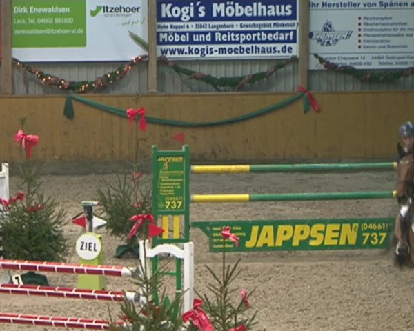 Reitturnier Leck 2015