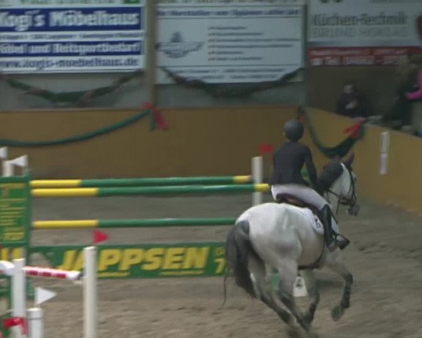 Reitturnier Leck 2015