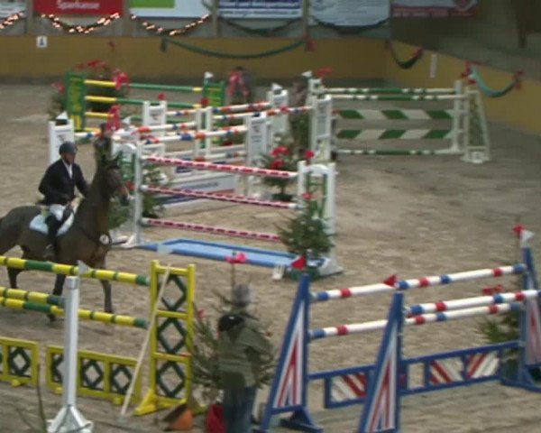 Reitturnier Leck 2015