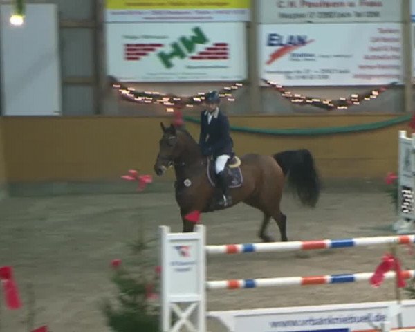 Reitturnier Leck 2015