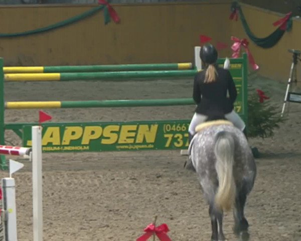 Reitturnier Leck 2015