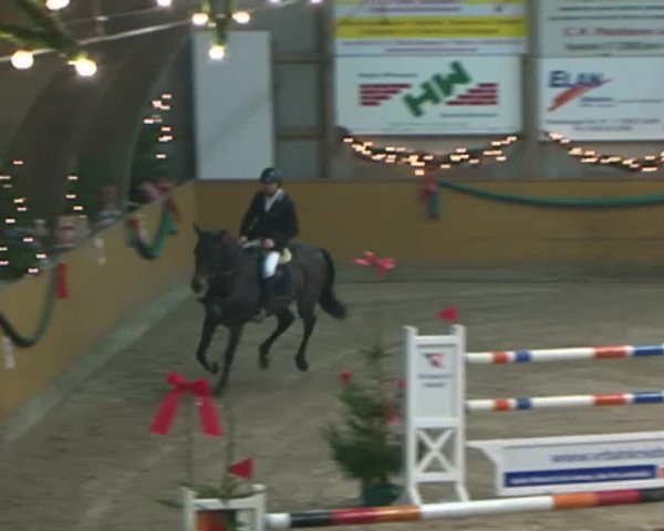 Reitturnier Leck 2015