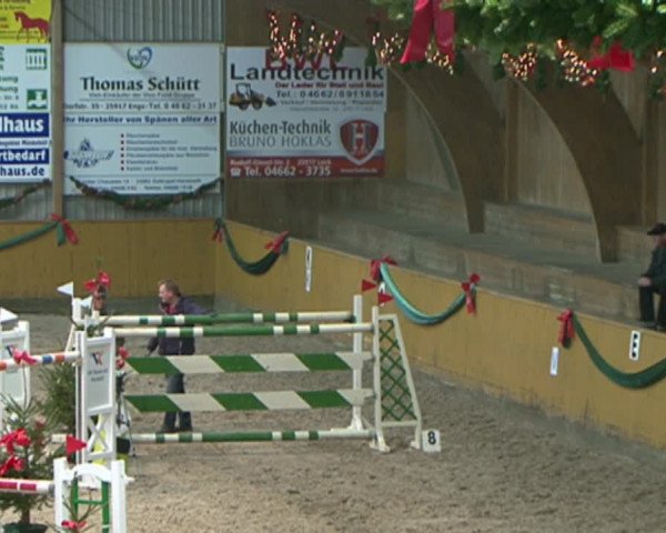 Reitturnier Leck 2015