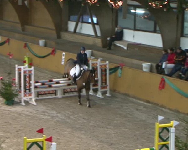 Reitturnier Leck 2015