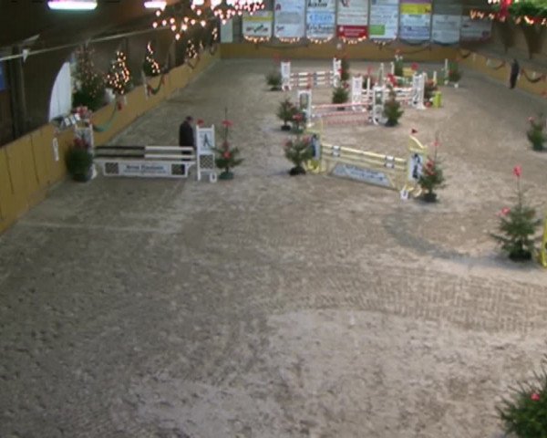 Reitturnier Leck 2015