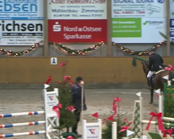 Reitturnier Leck 2015