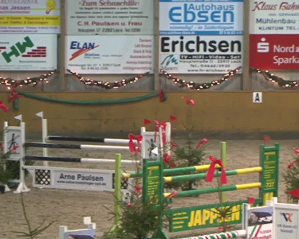 Reitturnier Leck 2015