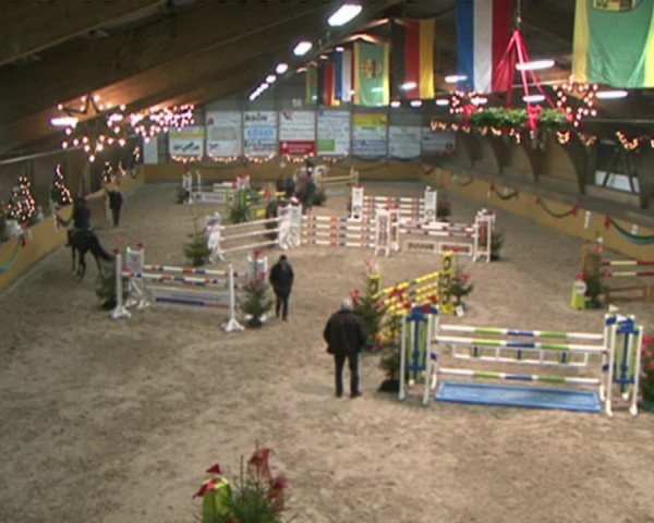 Reitturnier Leck 2015
