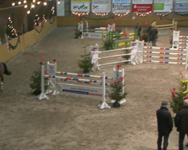 Reitturnier Leck 2015