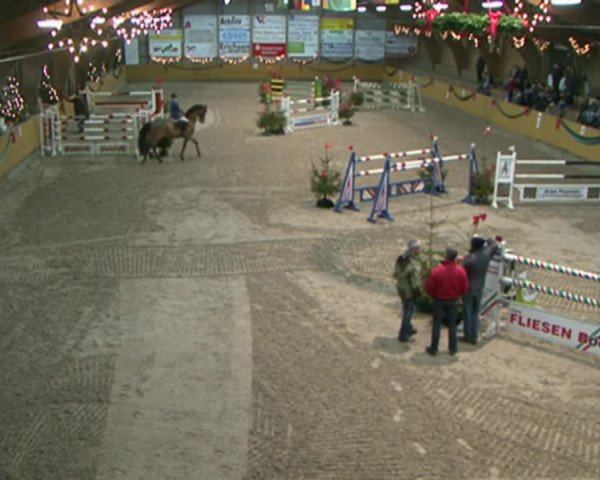 Reitturnier Leck 2015