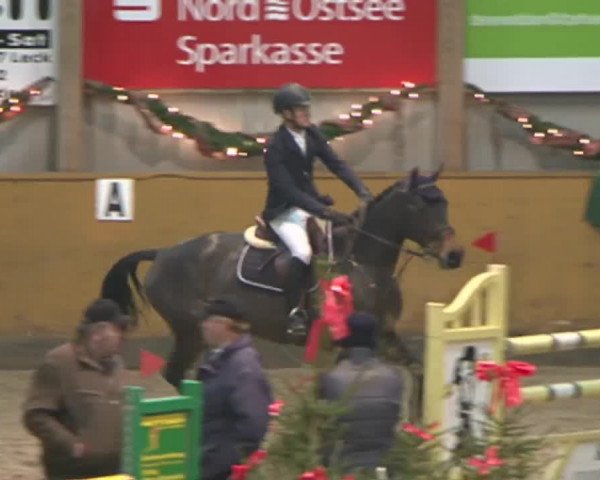 Reitturnier Leck 2015