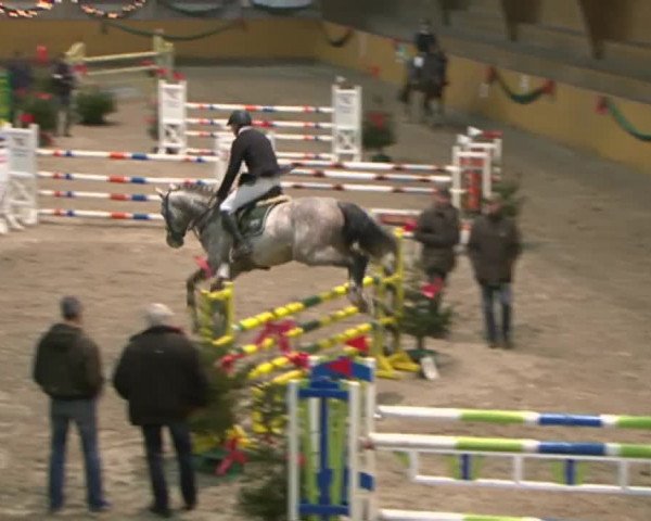Reitturnier Leck 2015
