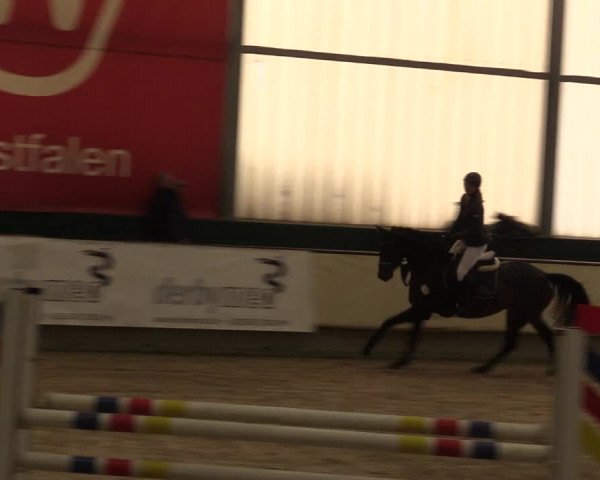 Reitturnier Münster-Handorf 2015