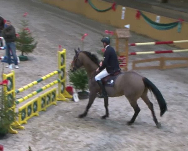 Reitturnier Leck 2015