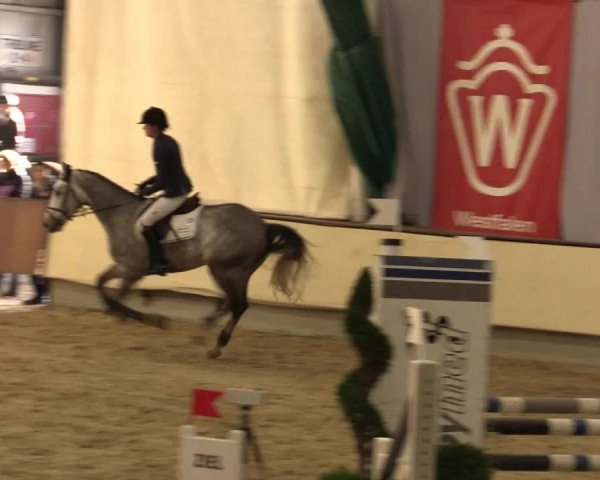 Reitturnier Münster-Handorf 2015