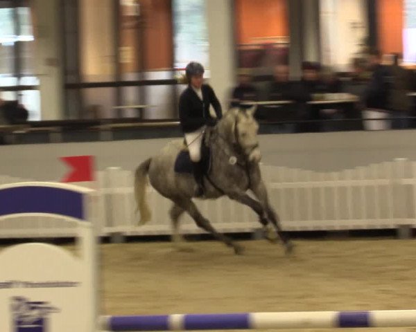 Reitturnier Münster-Handorf 2015