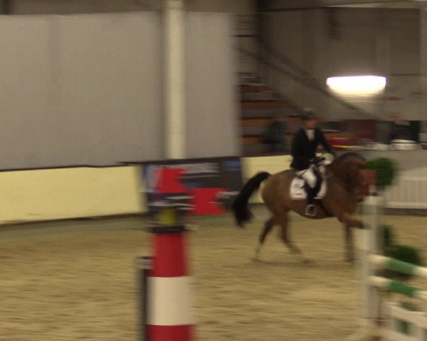 Reitturnier Münster-Handorf 2015