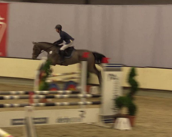 Reitturnier Münster-Handorf 2015