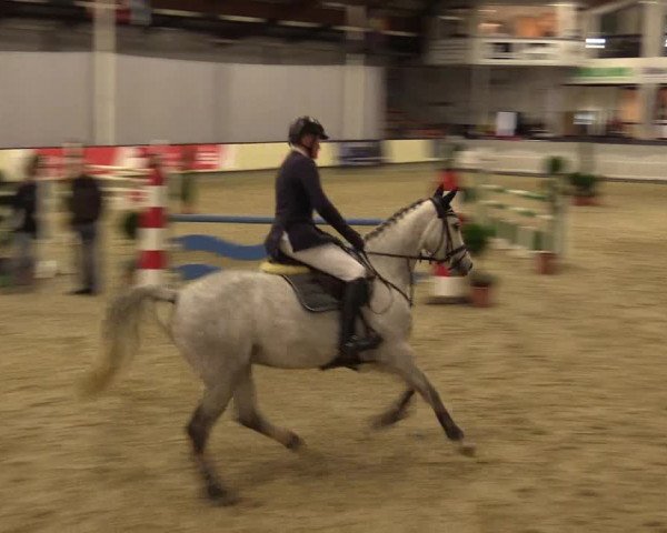 Reitturnier Münster-Handorf 2015