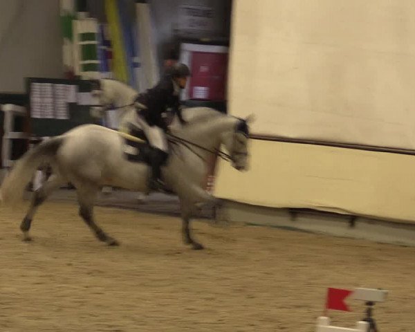 Reitturnier Münster-Handorf 2015