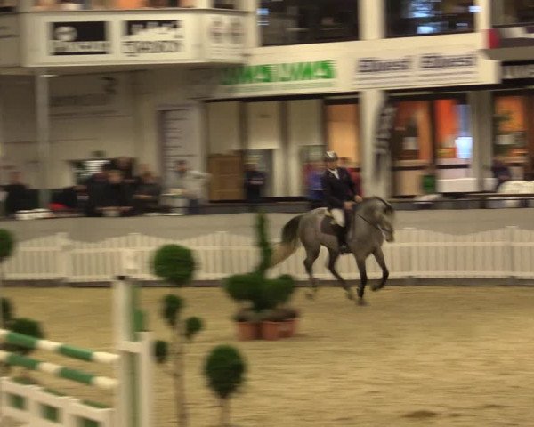 Reitturnier Münster-Handorf 2015