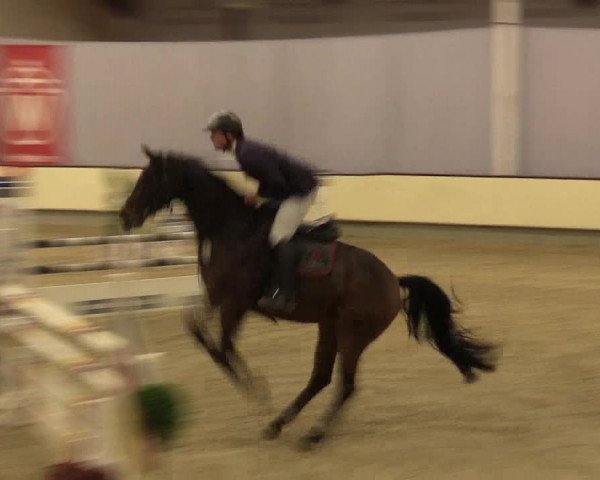 Reitturnier Münster-Handorf 2015