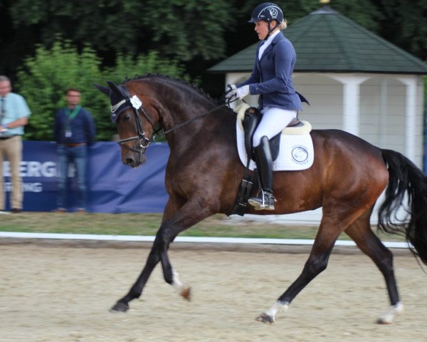 broodmare Weltenfürstin GK (Oldenburg, 2015, from Fürst Romancier)