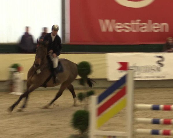 Reitturnier Münster-Handorf 2015