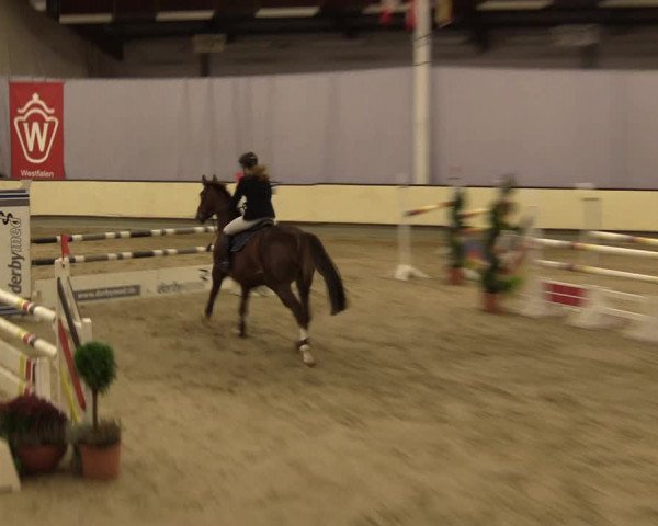 Reitturnier Münster-Handorf 2015